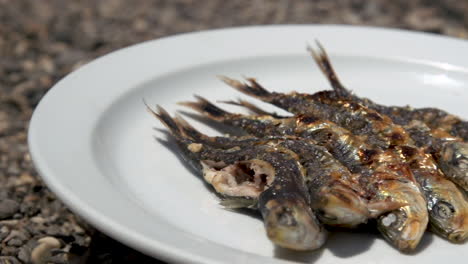 brocheta de pescado de sardinas al fuego a la parrilla con leña ardiendo