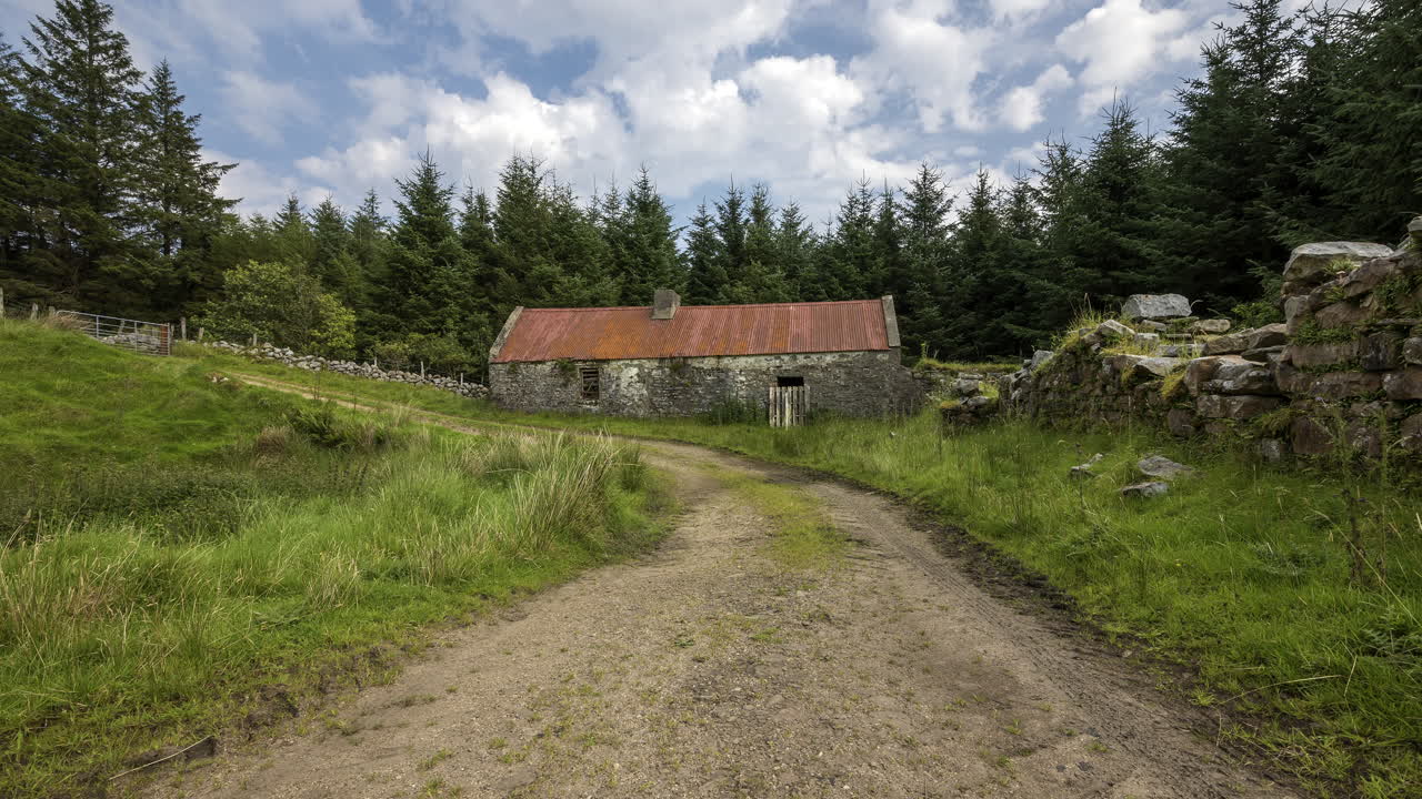 lapso de tiempo de la carretera de campo que conduce a una granja abandonada rodeada de bosque en un día nublado de verano en irlanda