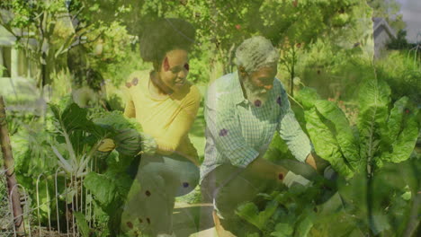 animación de hojas sobre una pareja afroamericana trabajando en el jardín.