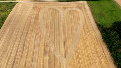 golden grain field with heart pattern - aerial drone shot