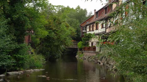 río que fluye a través del pueblo de kayserberg