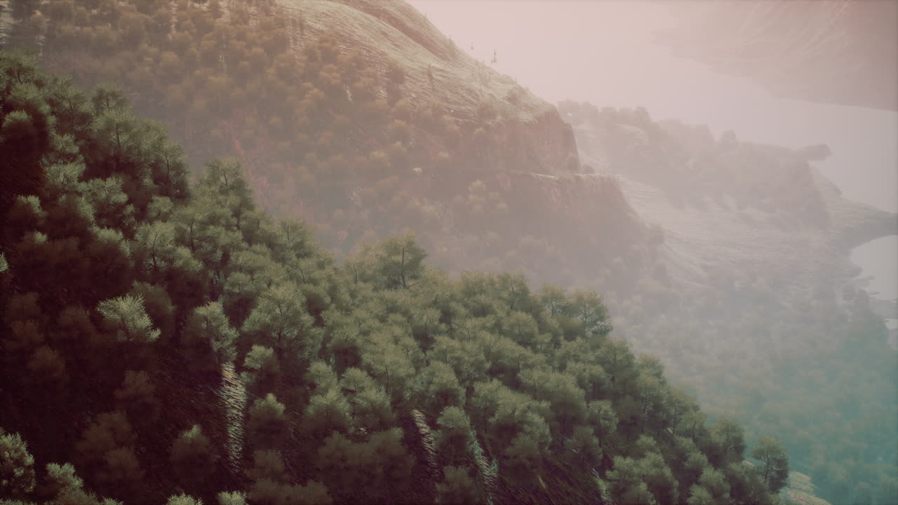 una vista aérea de la selva tropical en la mañana brumosa
