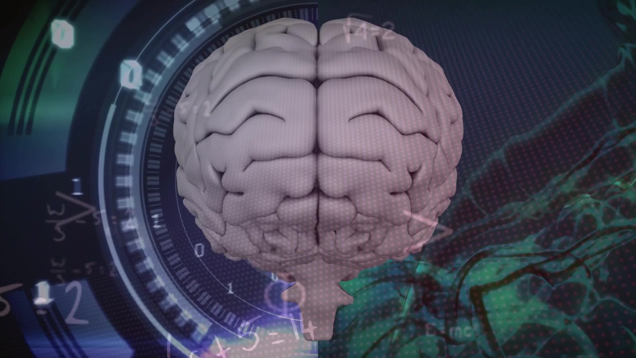 Composición del cerebro humano y procesamiento de datos médicos en un servidor de computadora