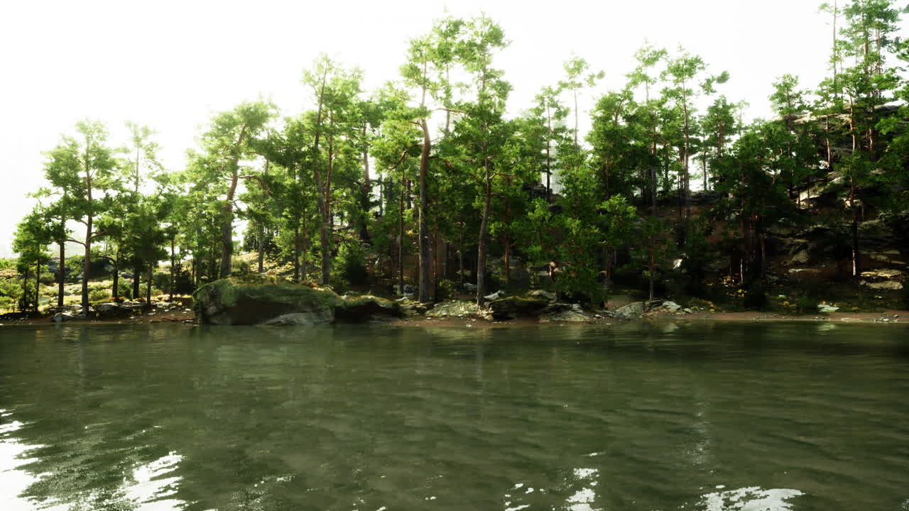 배경 에 나무 가 있는 물체