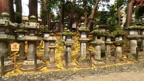 hermosas linternas de piedra antiguas con hojas de ginko doradas en el parque nara