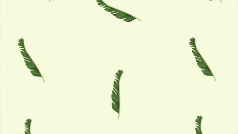 hojas exóticas tropicales patrón de animación de ecología