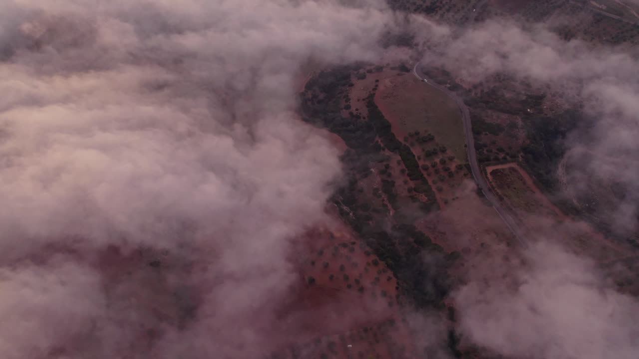 Lush fields glow at sunrise with scattered clouds