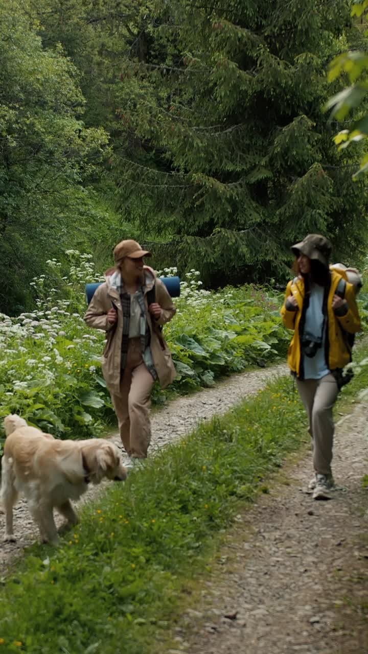 amigos caminando en las montañas