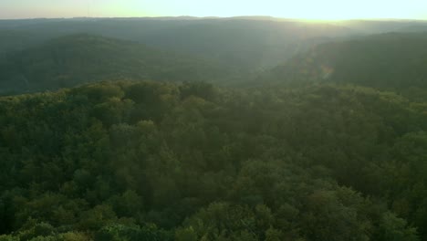 Eine-Luftaufnahme-Einer-Drohne-Entlang-Der-Hohen-Grünen-Bäume-Im-Wald