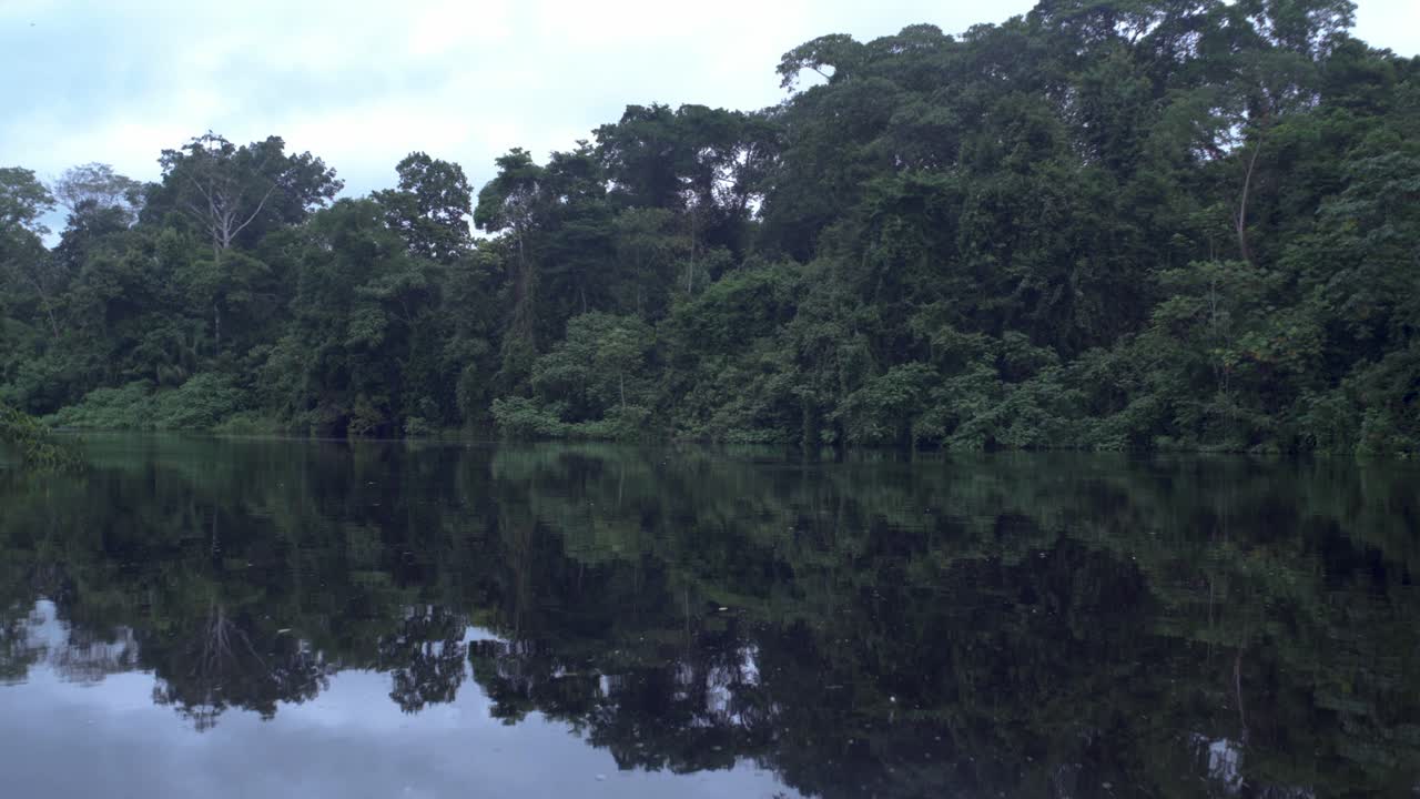 아마존 강의 물 위에 있는 정글의 반사