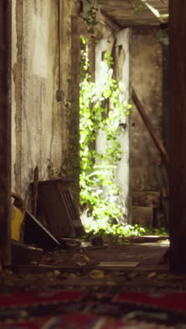 abandoned hallway with overgrown ivy