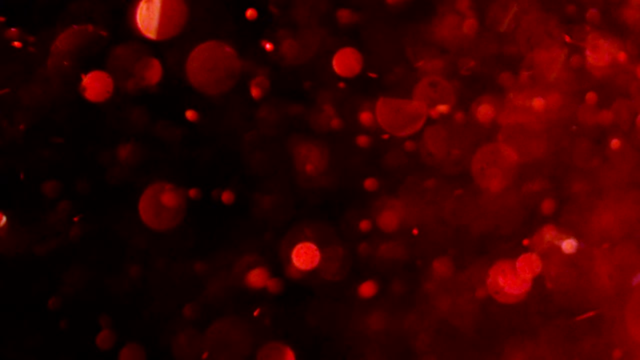 보케 럭셔리 글리터