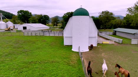 horses run with barn backdrop near mountain city tennessee aerial