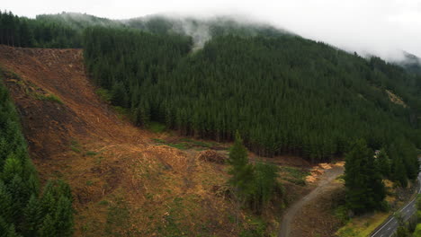 Aerial-panning-shot-of-deforestation-in-New-Zealand-Nelson-area