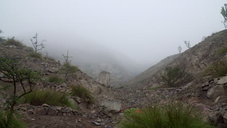 vista de un pacífico paisaje rocoso en el parque ecológico en la molina lima perú