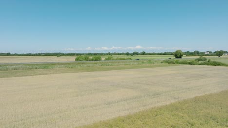 Aerial-establishing-shot-of-a-rural-landscape,-countryside-road-with-trucks-and-cars-moving,-lush-green-agricultural-crop-fields,-sunny-summer-day,-wide-ascending-drone-shot-moving-forward