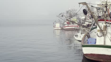 fishing boats moored in the tranquil harbor of barbate, andalusia, spain, create a serene and mysterious atmosphere on a foggy morning, enveloped in soft haze and calm waters