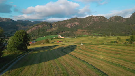 Hileras-De-Hierba-Recién-Cortada-Para-Ensilaje-En-El-Campo-Con-Empacadora-De-Heno-Y-Tractor-A-Distancia