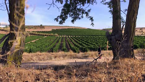 Hombre-Explorando-El-Campo-En-Una-Mañana-De-Septiembre-2