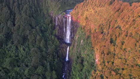 Wairere-Falls,-Highest-Waterfall-In-North-Island,-New-Zealand---Aerial-Drone-Shot