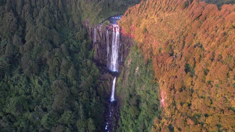 las cataratas de wairere, la cascada más alta de la isla norte, nueva zelanda - toma aérea de un dron