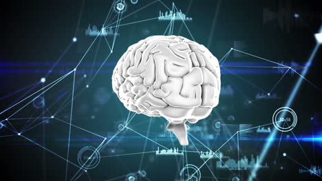 cervello digitale con grafici e codici