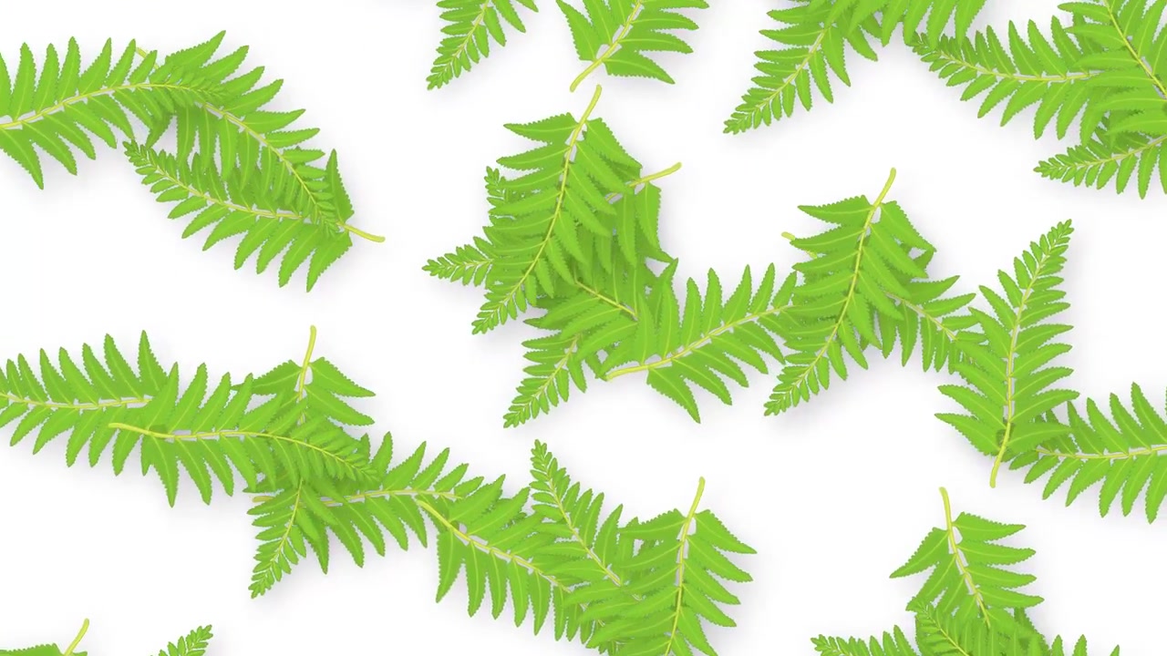 Green fern leaves fall and drift across a white background in a seamless loop.