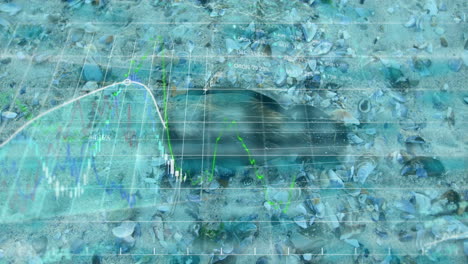 animación del procesamiento de datos sobre residuos y pájaros en la playa.