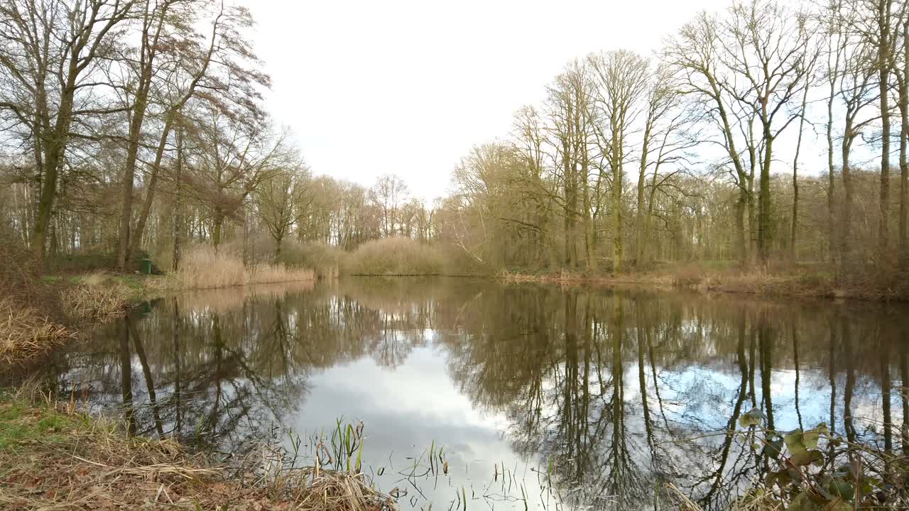 Stille vand i den lille sø midt i skoven om vinteren for vinterstemningen.