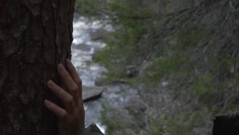 girl in the forest beside a river, looking at a tree