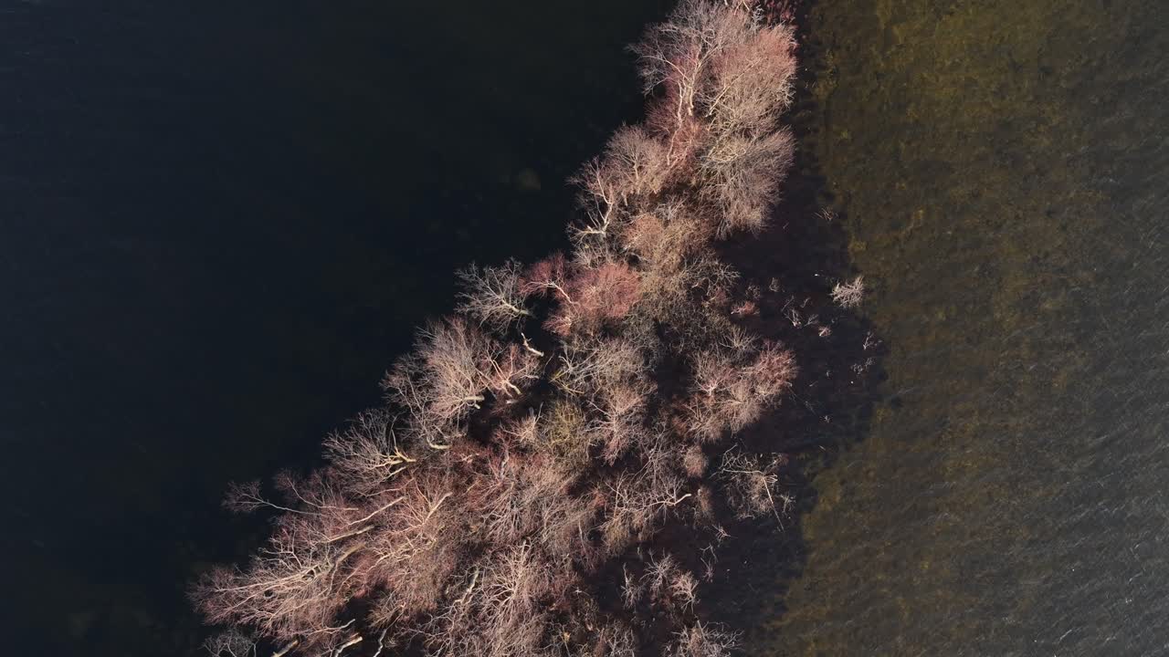 Top down view of an island submerged in Lake Karujärv due to high water levels. Saaremaa, Estonia.