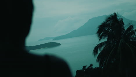 silhouette of a person watching a tropical seascape at dusk