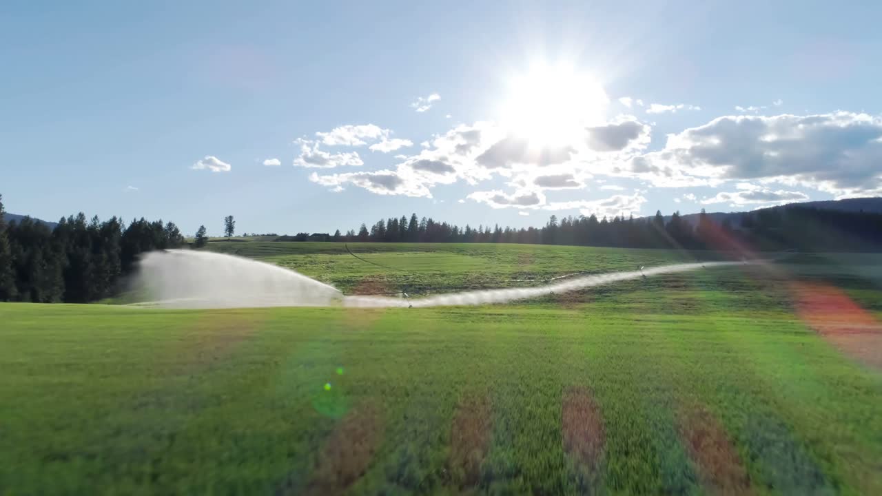 녹색 작물의 관개 4k