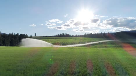 irrigation of green crops 4k