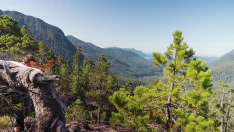 wanderer klettert hinauf in die pazifische landschaft - mackenzie range, vancouver island, bc, kanada