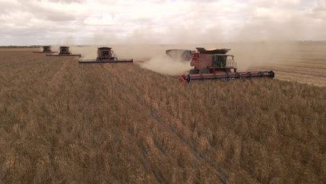 Beautiful-aerial-view-of-crop-Harvesting-in-Western-Australia