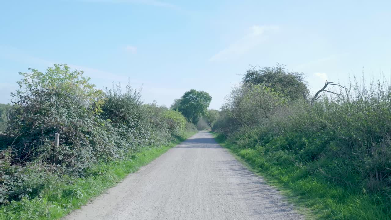 Scenic Path Through the Countryside