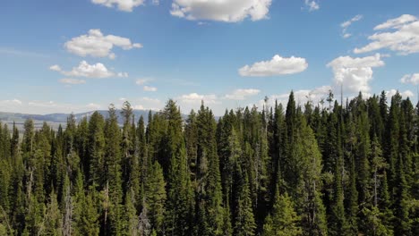 Pristine-Landscape-of-Grand-Mountain-and-National-Park,-Wyoming-USA