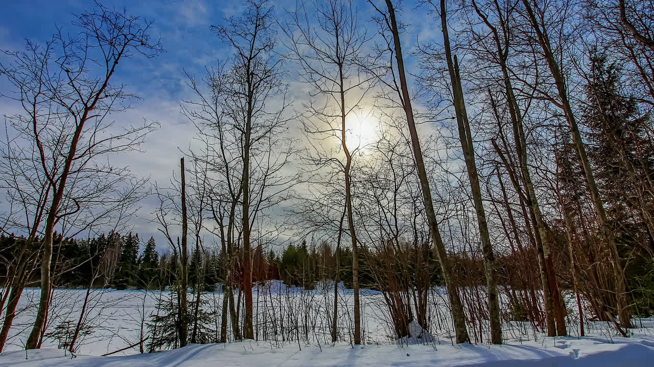 겨울에 숲에서 구름 사이에 낮은 빛의 시간 간격, 낮에서 밤으로의 전환
