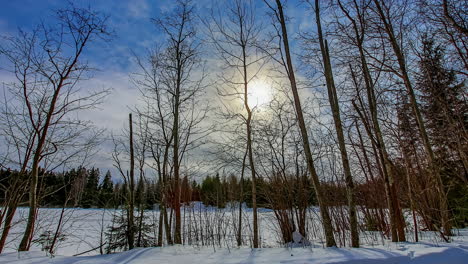 time-lapse of low sun in winter in the forest between clouds, day to night transition