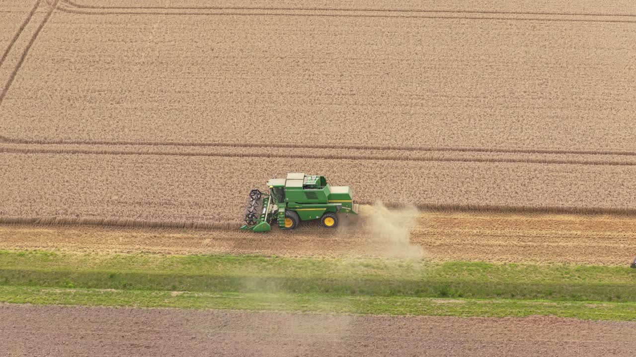 Giorno di raccolta del grano in campagna, mietitrebbiatrice attraversa i confini dei campi verso la strada, Paesi Bassi.