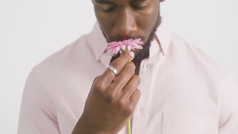 uomo che tocca e sente l'odore del fiore rosa della gerbera