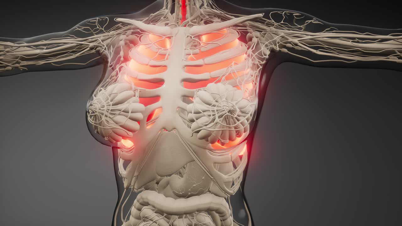 인간의 폐 방사선 검사