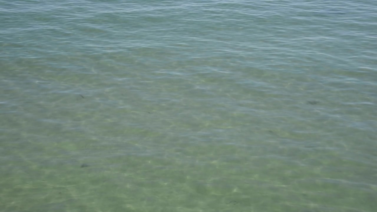 Clear, tranquil sea water gently rippling in the sunlight. Peaceful and relaxing background with sunlight reflecting on the surface