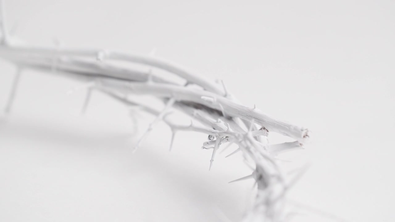 Water Drop Falling on a White Crown of Thorns