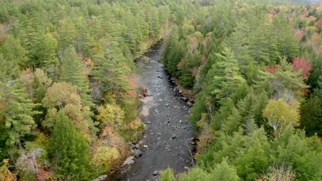 Tiro-Inclinado-Hacia-Arriba-De-Un-Río-Ancho-Que-Fluye-A-Través-De-Un-Bosque-De-Otoño,-Vista-De-Drones