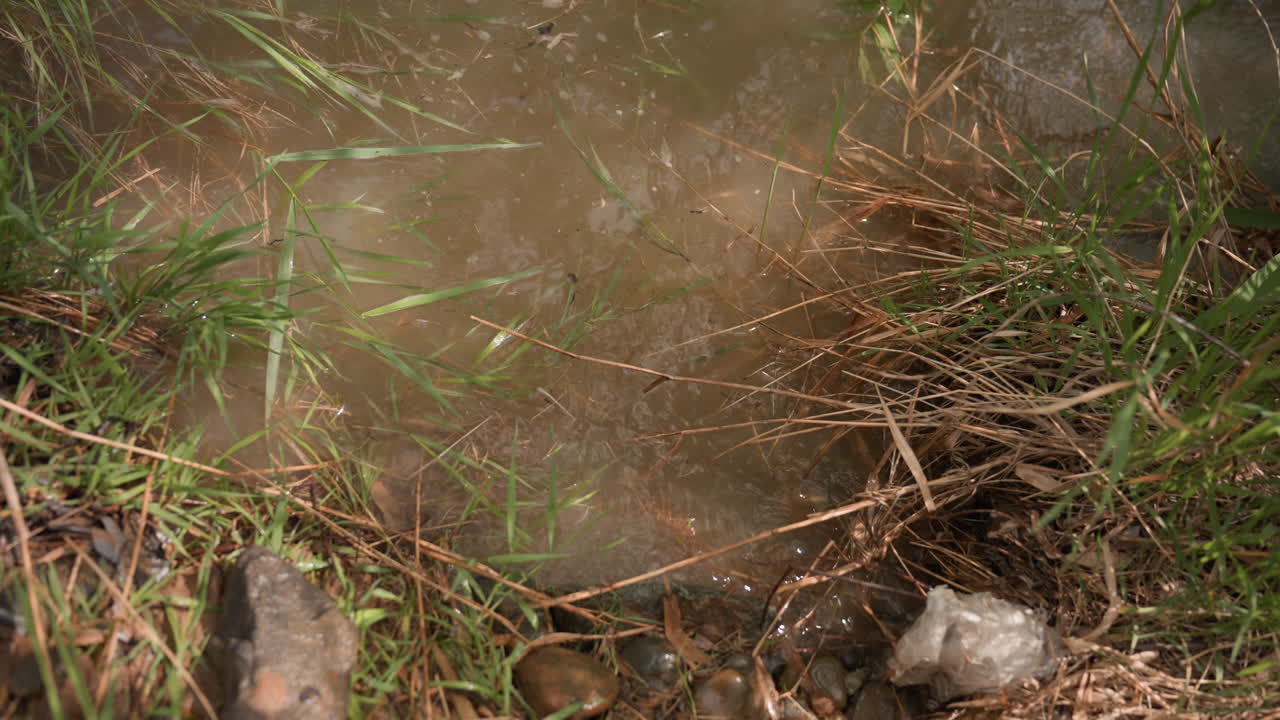 Top view of muddy riverbank showing flowing brown water bordered by dry grass, wet green blades, and scattered stones under soft natural light, capturing quiet tension between land and stream edge