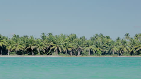 sea shore with palms and clear blue water