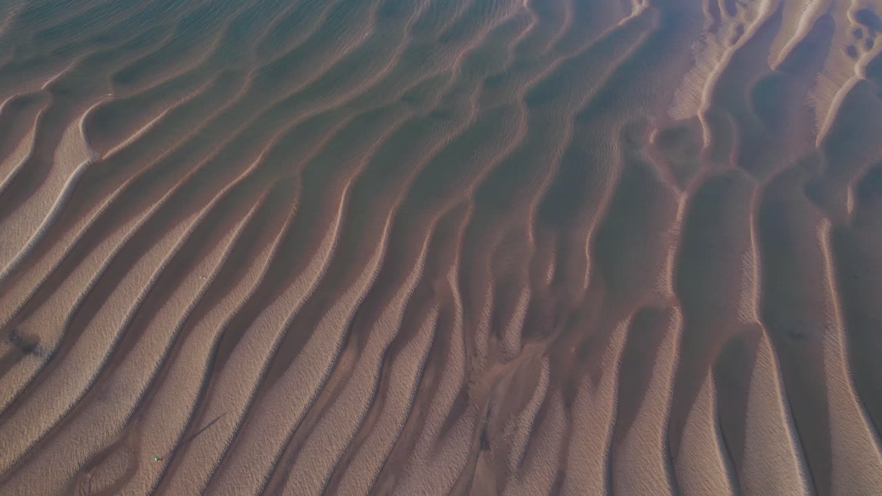 dunas y desierto con sereno paisaje marino en verano