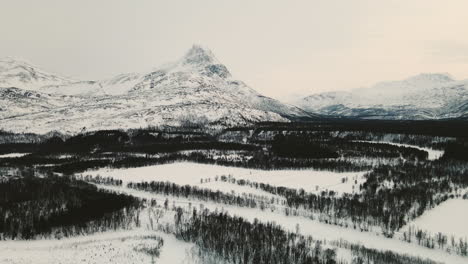 Fir-Trees-And-Snow-Covered-Mountainous-Landscape-In-Winter